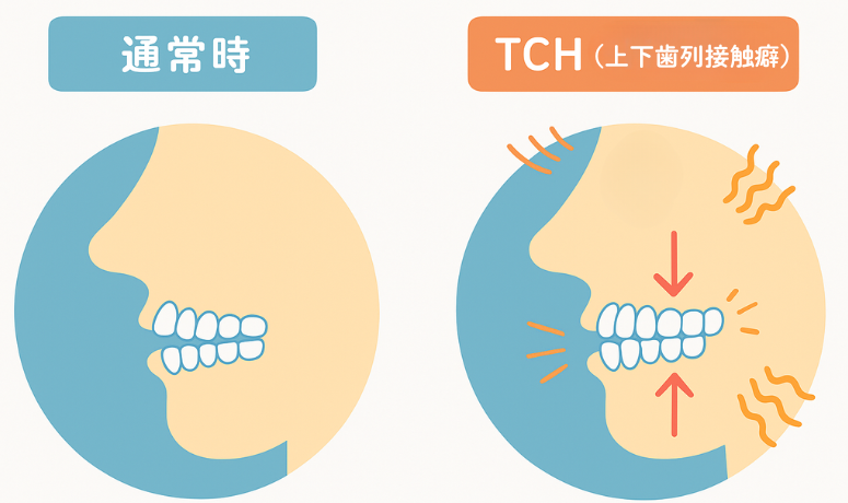 TCH｜南栗原歯科