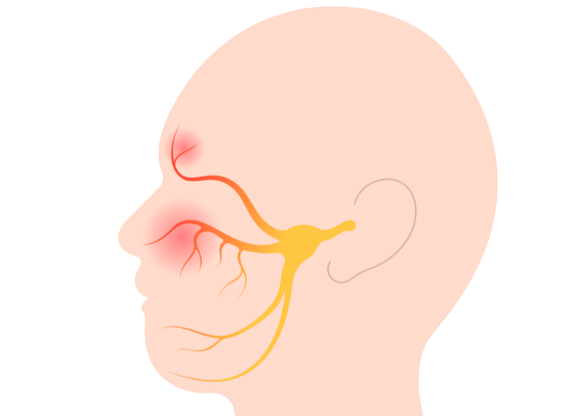 口腔顔面痛の例｜南栗原歯科