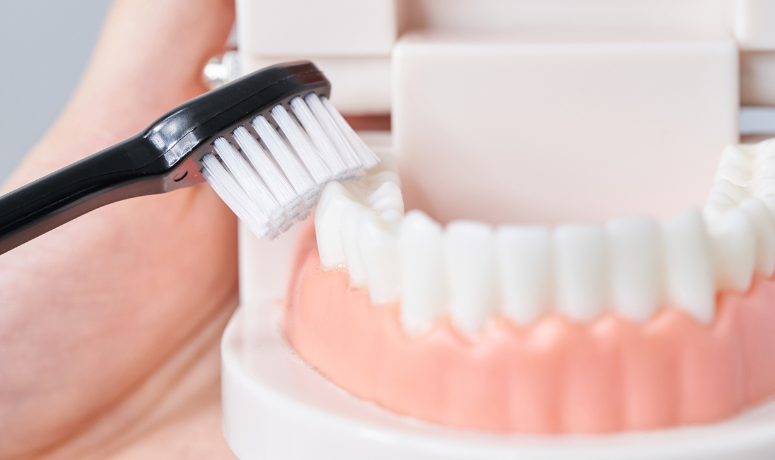 ホームケア指導|南栗橋歯科