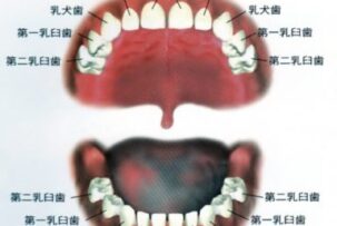 お口の中の状態をよくわかっていただくために